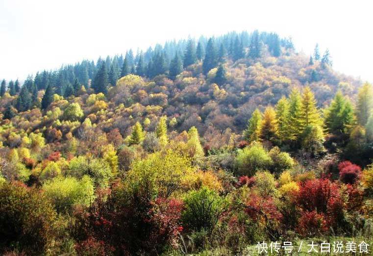 甘肃发展最好的城市,总GDP超2500亿元,未来有