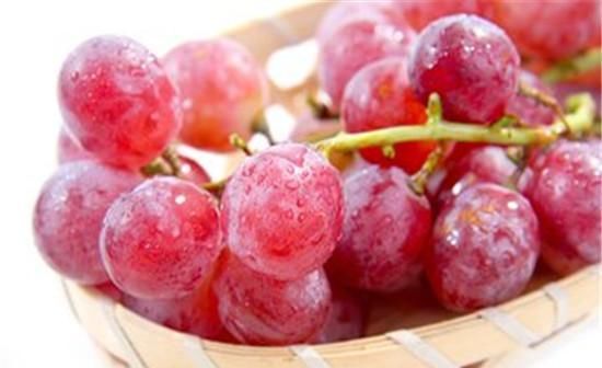  「量大」价格高产量大还耐储存，农民看到商机大量种植，如今批