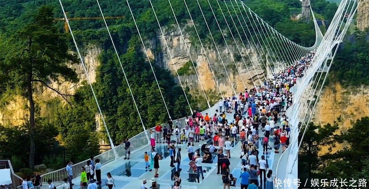 全球最危险的桥,建在峡谷中,没有一点钢筋水泥,看完你还敢去吗