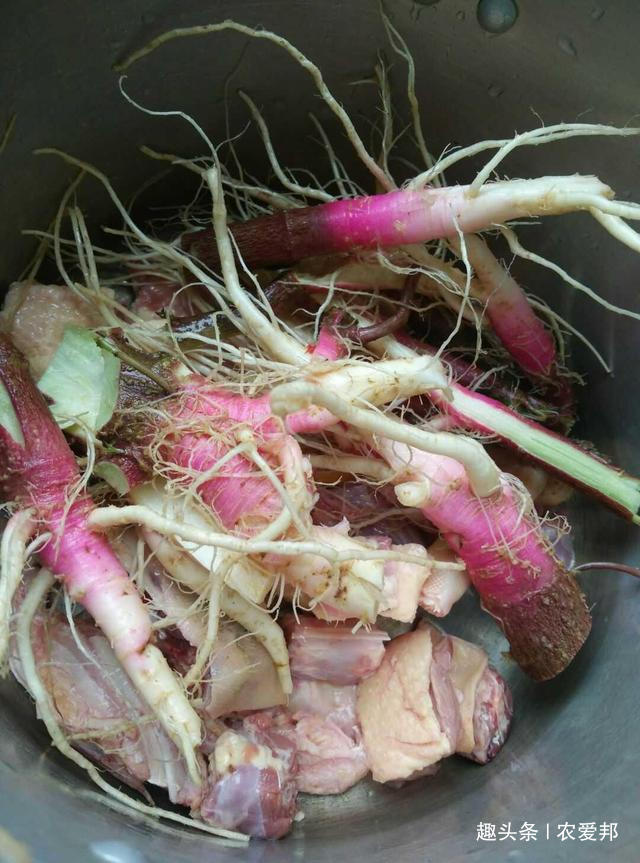  【农民们】农村人都喊它为仙草，你有见过吗你们哪里叫什么