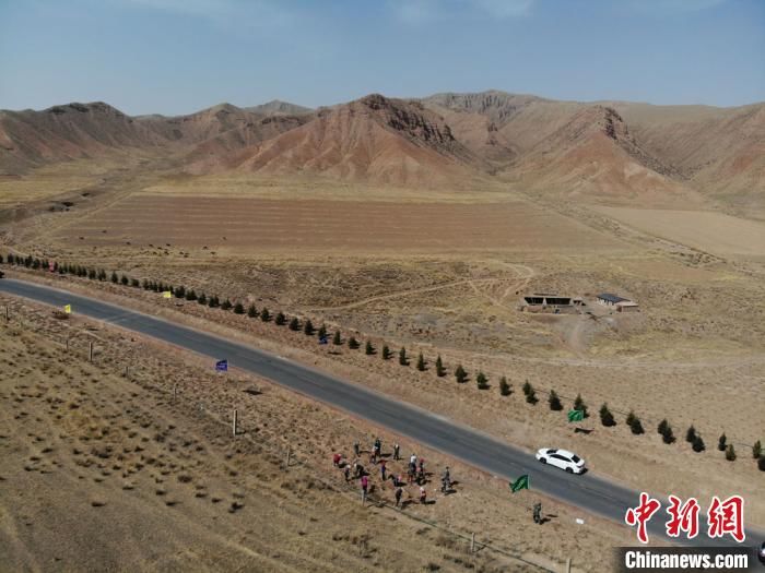  大规模：甘肃肃南大规模植树荒原 祁连山下添林也造景