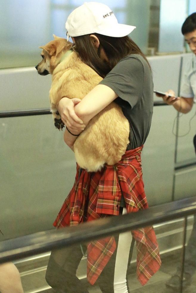 陈乔恩带活物现身机场，网友:你不柔弱了?