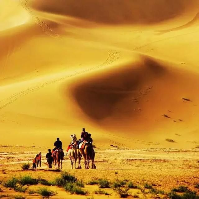 秋天的大西北有多美,第一张图就心动了!