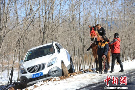 男子驾车赏景不慎滑入沟中 风情牛马车队前来救援场面独特