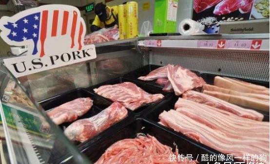  「国家」美国为何是全球最大的养猪国家？原因秘密在于对猪粪的
