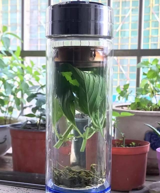  清洗干净■这4种花不仅长得漂亮，掐下叶子就是一盘菜