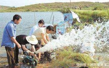 农民有福了，老外发明新型抽水机，一台顶原来三台
