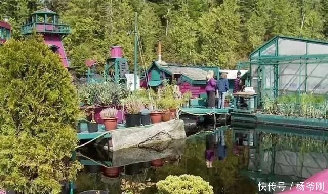  蔬菜：下半生，和爱的人一起养花种菜可好