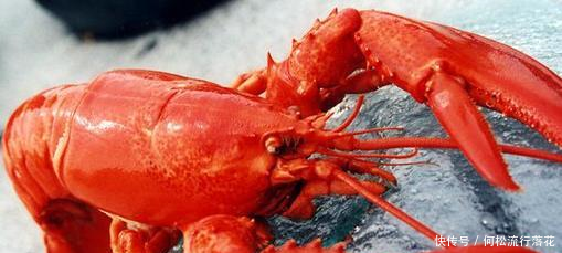 蒙骗亿万国人的十条谣言，你不看，现在还蒙在鼓里！