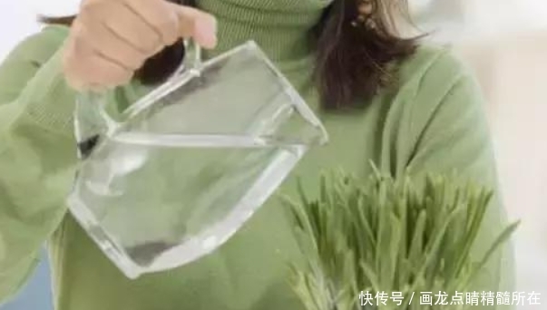  「花盆」浇水到底该怎浇？新手养花不知道，高手养花从不提