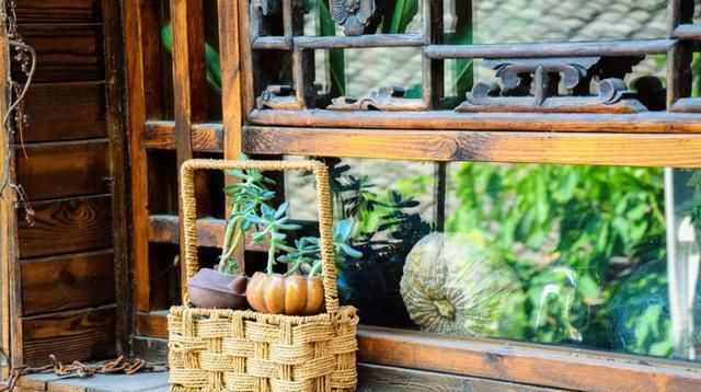  庭院：乡村的庭院，大家为什么这么喜欢