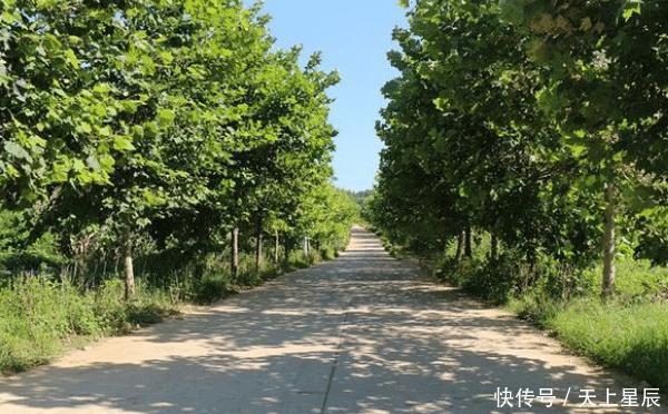 大连“鲜为人知”海岛，原生态不宰客，值得一去！