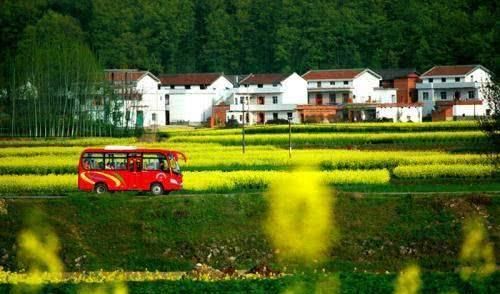 未来农村，4个地段的农房会成为“香饽饽”，占有一处，那恭喜你