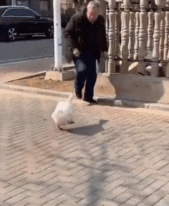  下雨|每日易起:每当下雨的时候 还是觉得有辆车真好!