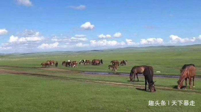 中国用几十年干掉一片千年沙漠，联合国坐不住了怎么做到的