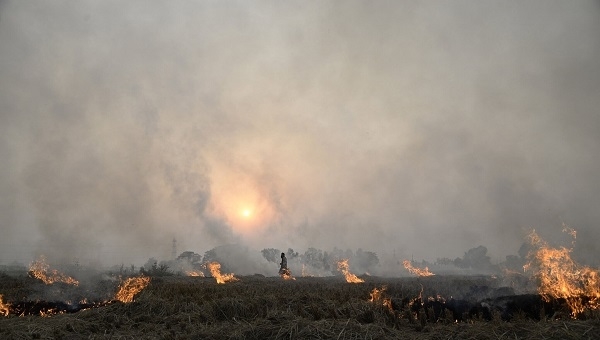  【严惩】农民不要再做这3件事，已经明令禁止，抓到肯定严惩，找