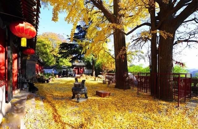 出发 | 金秋十月，这5个地方藏着中国最美的秋色！