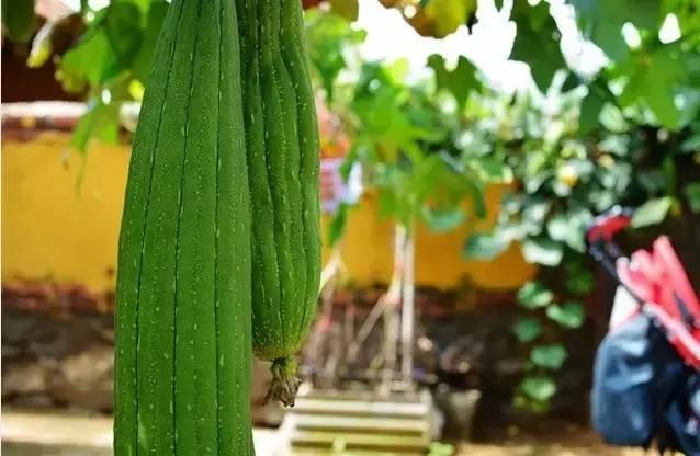 为什么要在老家留套房 ？看完你就懂了