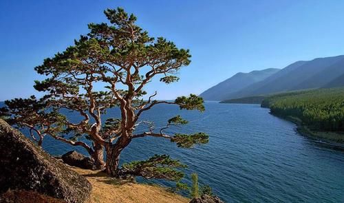 世界上最恐怖的湖泊，一晚上夺走2000人性命，专家终于找出真相