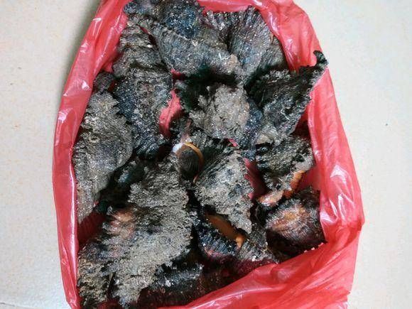  [空手而归]海边钓鱼钓不到怎么办？那就下水捞吧，反正是不能空手而归！