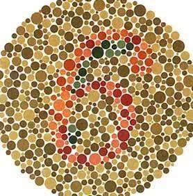 高速上行驶时，遇到石块是躲还是撞？老司机：再说最后一次，记好