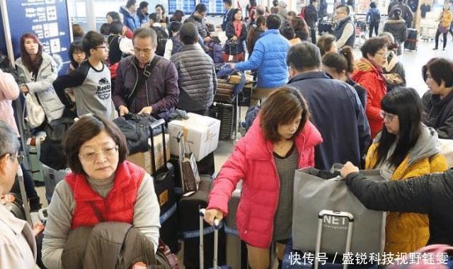 此国把中国游客当“宝贝”:总统下令,敢宰他们得付出“代价”!