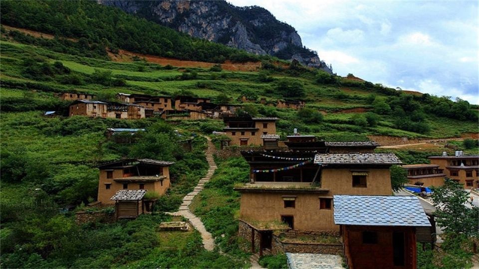 香格里拉的一棵神树菩提，长出来一只“佛手”，吸引不少人去膜拜