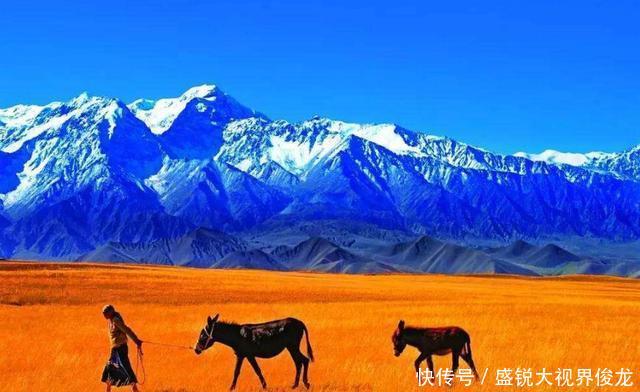  「发现」1983年昆仑山究竟发现了什么？昆仑山为什么常年重兵把