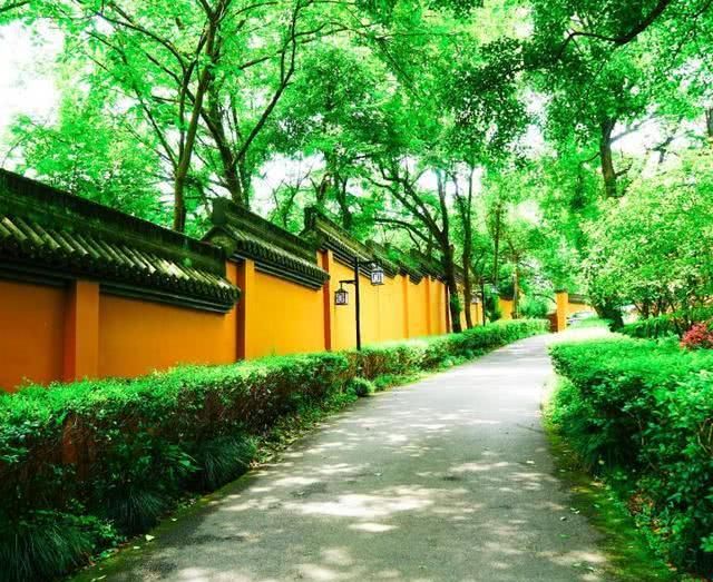 国内最灵“姻缘庙”，三生石上樱花树下，执子之手与子偕老