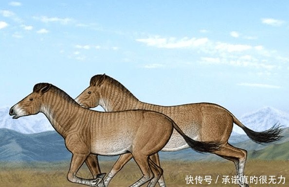  环境|假如青藏高原不隆起，我国南方是什么环境