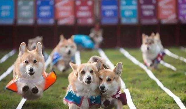 重磅！河南发现8000年历史的新石器时代遗址，又一个超级景区将诞