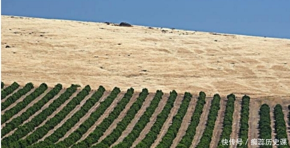  「中东国家」海水取之不尽，用来灌溉沙漠会怎样？看看中东国家