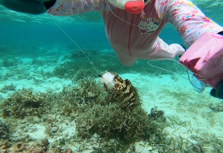 我心中向往的天堂，西沙群岛潜水、海钓、露营