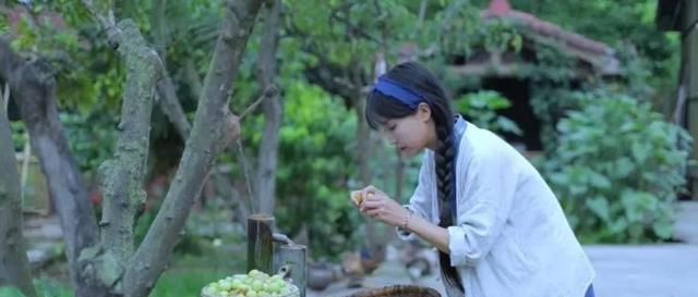  【李子】李子柒秘制经典美食，一勺长白山参蜜，融载了汗水与梦想