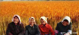 印度、越南农民生活条件大比拼，还是中国农民好啊