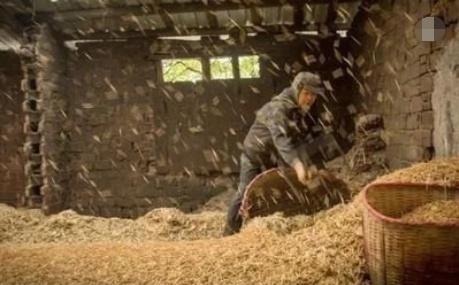  [产品]中国百年老厂倒闭，曾是亚洲最大，凡是中国人几乎都用过