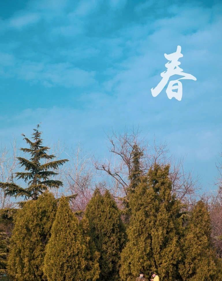  『预约』滨海新区的春天，不需要预约