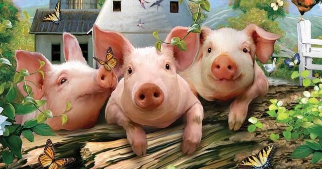  中国：现在养猪能赚钱吗？中国养猪首富牧原股份秦英林身价达100