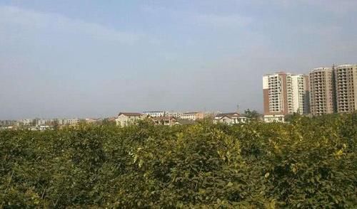  『城市』四川将要崛起的县城，迎来新高铁还有70亿项目投入，前景势不可挡