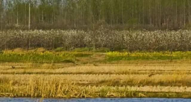 徐州这两天唱起了“小晴歌” 又是一年秋意浓，赏秋正当时！