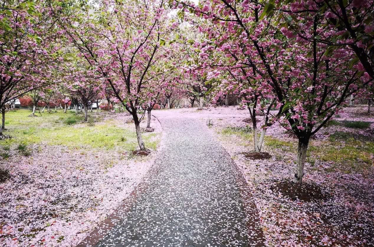 北上广深苏成南暴雨暴雪暴风下冰雹，网友不知哪位道友在渡劫