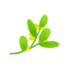 隐藏在湖北的这片仙境，美到窒息，却低调了多年！