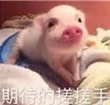 别老想着去日本拍红叶，中国这些地方的红叶也很好看