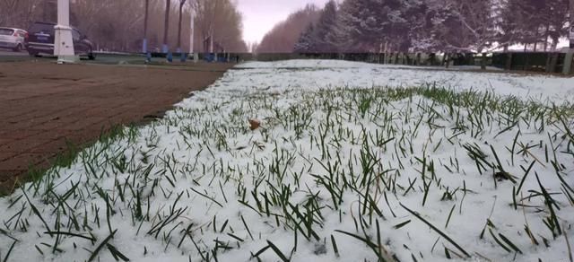 「交警部门」黑龙江这场大暴雪史上只现两次,专家分析来了!27日后可能…