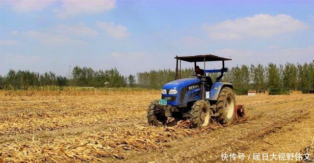  【三农】三农快讯，关于农村粮食补贴政策，这四类情况大家注意