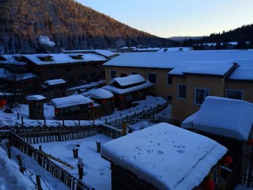 今年的雪乡遭遇“雪荒”?蘑菇雪都看不到了,游客还多么?