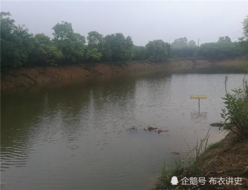  称为@在农村，地笼是禁用渔具吗？为什么地笼又称为是“绝户笼”