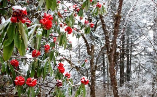我国一不通公路的县，最低海拔115米，地形险峻，你想去探险吗