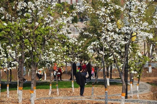 三月春暖花开,又到了寻花问柳的季节!