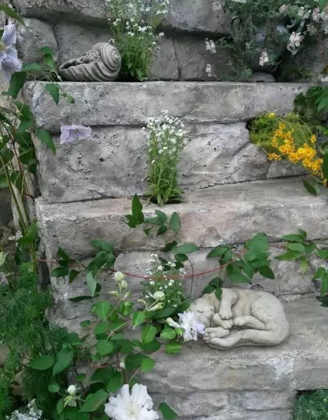  「养花」等我们年纪大了，回乡下，开辟院子，种菜养花